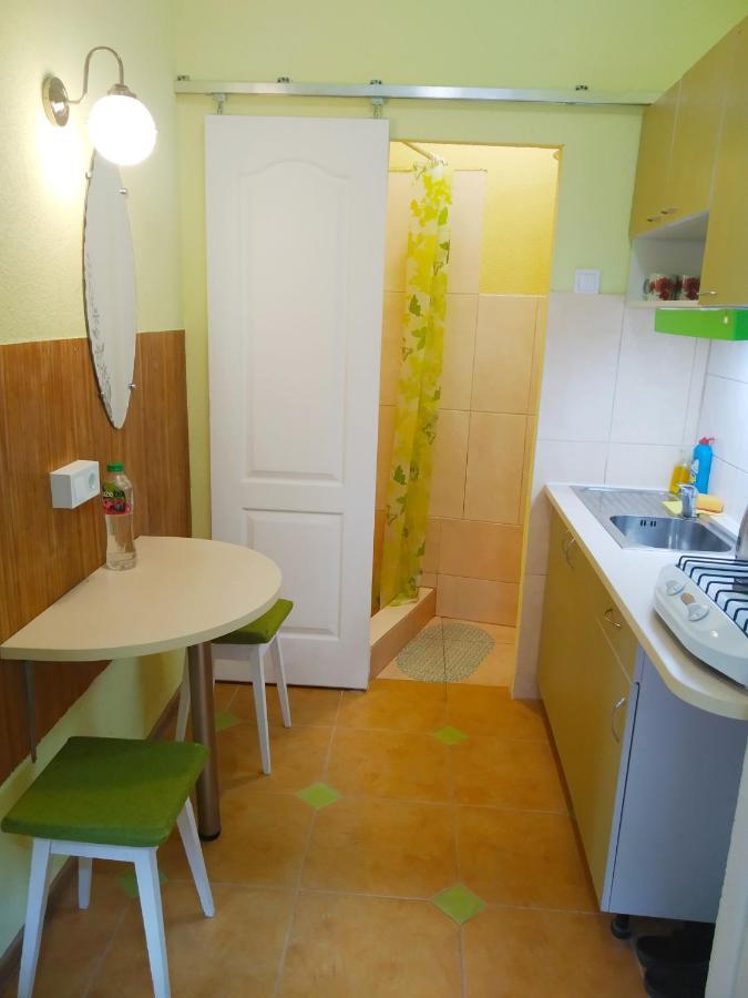 Lviv Appartment On Yaroslava Mudrogo 14 ภายนอก รูปภาพ